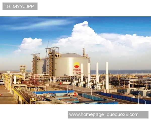 LNG在大师赛中的强势表现解析与未来展望